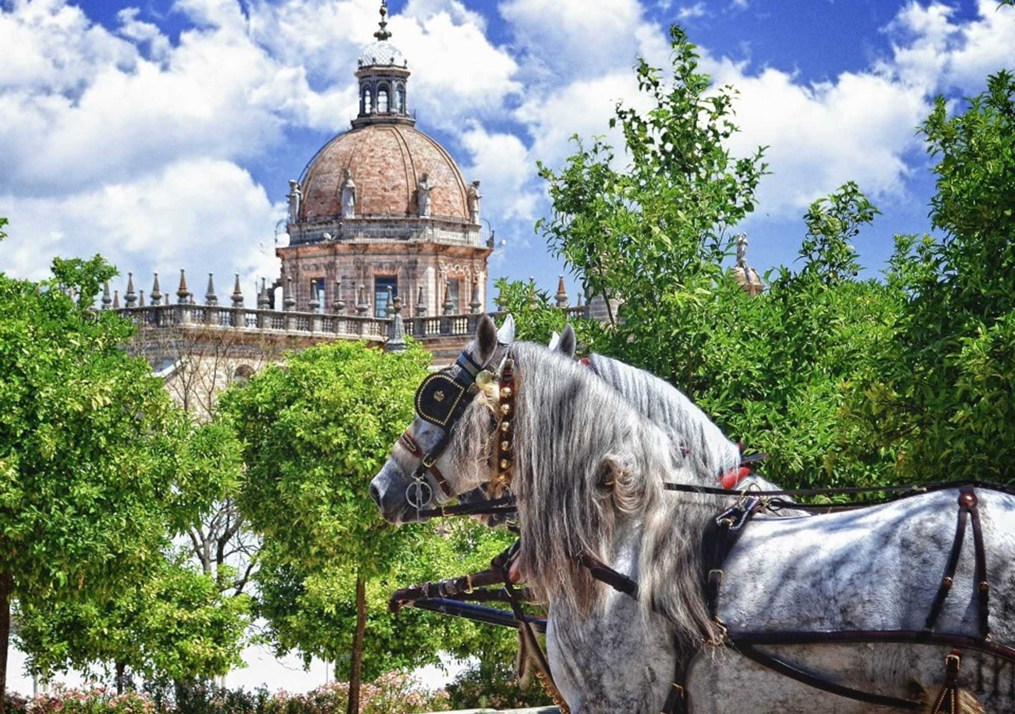 tours guiados Centro Histórico de Jerez de la Frontera